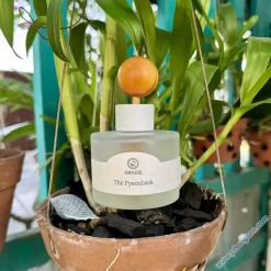 Nước hoa Grasse mang đến sự thư giãn hoàn toàn với mùi hương cây bách chân thực, một mùi hương tự nhiên thoang thoảng dịu nhẹ của lá cây.